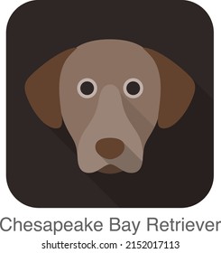 Chesapeake Bay Retriever Dog Face Flat Icon, Dog Series