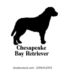 Chesapeake Bay Retriever Dog silhouette dog breeds logo monogram face vector