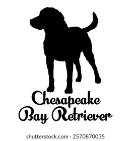 Chesapeake Bay Retriever. dog silhouette, dog breeds, logo, vector, silhouette,  animal, illustration, icon, sign, design, black, symbol, pet, love
