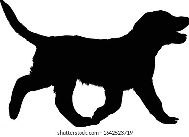 Chesapeake Bay Retriever Silhouette Vector Found In Map Of North America