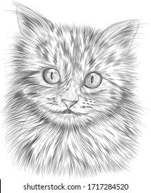 Cheshire cat cartoon black and white sketch vector illustration funny