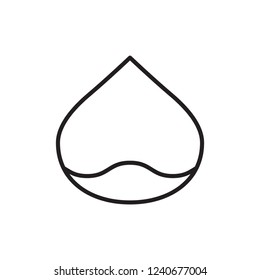 chesnut icon vector. bean icon