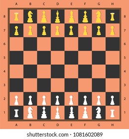 Chess piece on chess board,Vector illustrations.