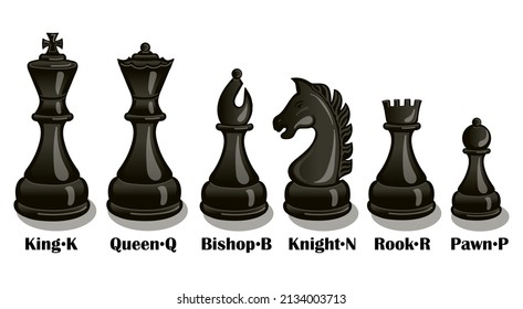 Chess pieces. Vector chessmen shapes with the names of figures isolated on white background.