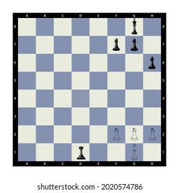 Chess. Vector illustration of a chess pawn. Kings, queens, rooks, ministers, horses and pawns on a chessboard. Isolated on a blank background, editable and changeable.