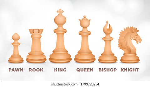 Chessmen, chess set, realistic drawing. Figurines for intellectual game, piece pawn, king, queen, bishop, knight, rook, with signed figure names isolated on textural background. Vector illustration