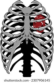 Hueso del pecho con arte vectorial del corazón humano real. Eps 10