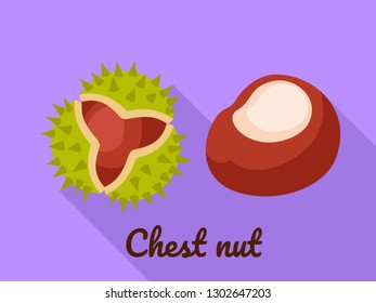 Chest nut icon. Flat illustration of chest nut vector icon for web design