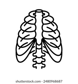 Chest and ribs, line icon. Human ribs, linear illustration. 
