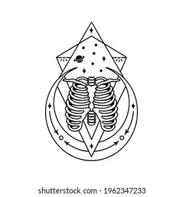 chest skeleton space on a white background