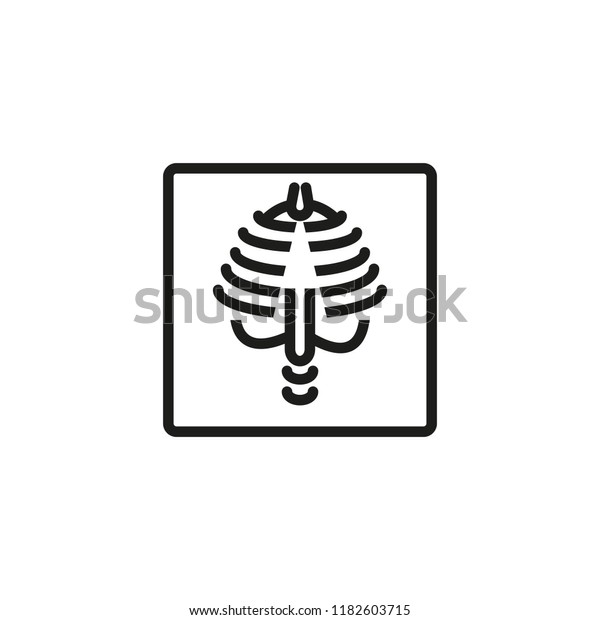 Chest X Ray Line Icon Radiology Stock Vector (Royalty Free) 1182603715 ...