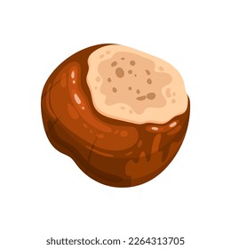 chestnut autumn food cartoon. brown nut, fruit fall, natural organic, plant sweet, snack season, seed chestnuts healthy, vegetarian chestnut autumn food vector illustration