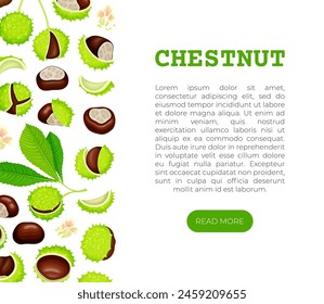 Chestnut Banner Design with Brown Kernel in Green Thorn Shell Vector Template