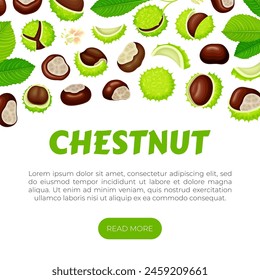 Chestnut Banner Design with Brown Kernel in Green Thorn Shell Vector Template