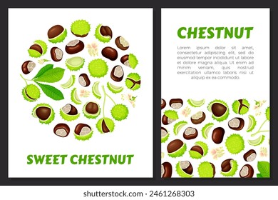 Chestnut Banner Design with Brown Kernel in Green Thorn Shell Vector Template