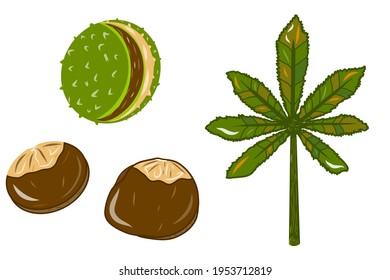 Chestnut beans and leaf icons. Creative illustrations. Colorful sketch. Idea for decors, logo, patterns, papers, covers, gifts, summer and spring holidays, floral natural themes. Isolated vector art.
