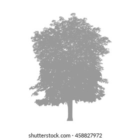 Chestnut. Beautiful vector tree silhouette icon.