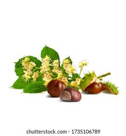 Chestnut blossom low poly. Chestnut brunch with flowers. Beautiful chestnuts. Barbed and strong chestnut. Vector illustration. Blossoming Chestnut tree in triangulation technique for spring design.