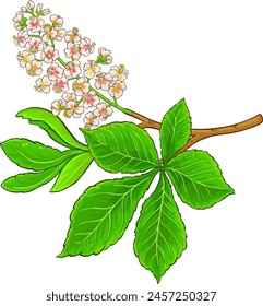 Chestnut Branch Colored Detailed Illustration.