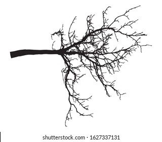 Chestnut branch tree silhouette. Bare branch. Vector illustration