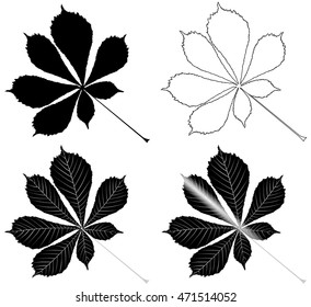 3,298 Buckeye leaf Images, Stock Photos &amp; Vectors | Shutterstock
