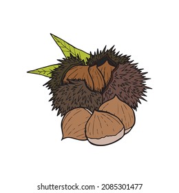 Ilustración de esquema dibujada a mano con arándanos de color castaño. Sencilla madera de otoño. Semilla arbórea con hojas, gráfico de dibujo de lápiz. Detalle de los símbolos de los frutos secos de la naturaleza. Caen frutos botánicos de un árbol.