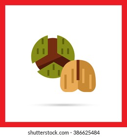 Chestnut flat icon