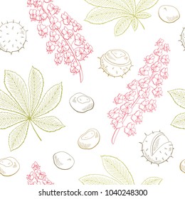 Chestnut flower leaf graphic color seamless pattern sketch illustration vector