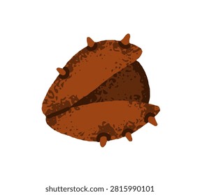 Chestnut fruit in barbed shell with thorns, prickles. Forest nut, half open. Autumn seasonal botanical design element. Natural fall decoration. Flat vector illustration isolated on white background