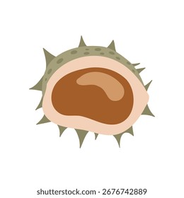 Kastanienfrucht. Flache minimalistische Illustration. Herbstclipart