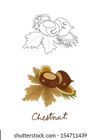Chestnut fruit and leaf