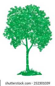 Chestnut green tree, isolated on white background. Eps10, contains transparencies. Vector