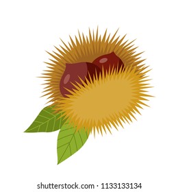 Chestnut hedgehog with leaves