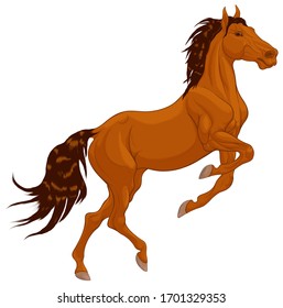 Chestnut horse reared and bent its front legs. Prancing stallion pricked up its ears and stared ahead with dilated nostrils. Vector design element for equestrian goods.