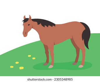 Chestnut horse standing on the green grass. Domestic farm animal grazing on a spring pasture. Flat cartoon illustration.