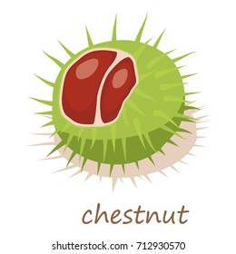 Chestnut icon. Isometric illustration of chestnut vector icon for web