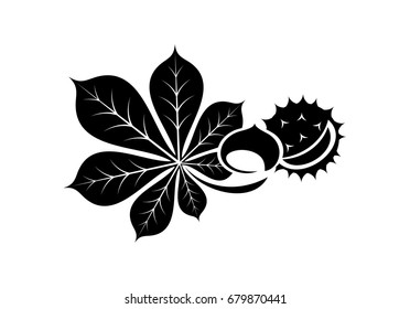 Chestnut icon or logo in modern line style. Vector illustration on a white background.