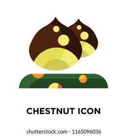 Chestnut icon vector isolated on white background, Chestnut transparent sign , colorful symbols