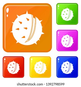 Chestnut icons set collection vector 6 color isolated on white background