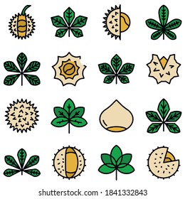 Chestnut icons set. Outline set of chestnut vector icons thin line color flat on white