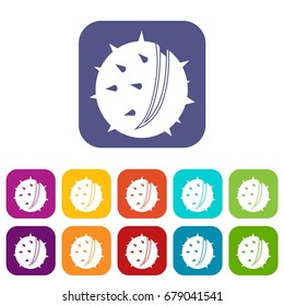 Chestnut icons set vector illustration in flat style In colors red, blue, green and other
