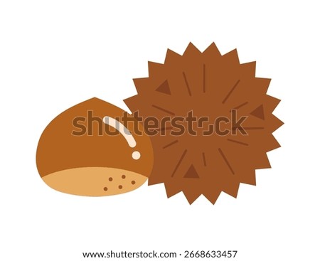 Chestnut illustration - chestnut burrs