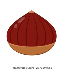 Castaño aislado sobre fondo blanco. Vector de castaño.