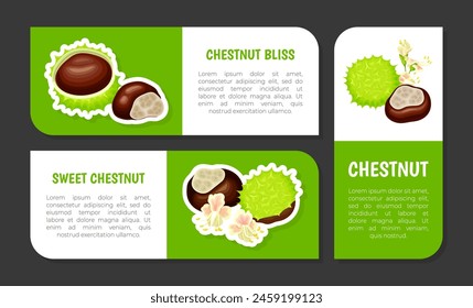 Chestnut Label Design with Brown Kernel in Green Thorn Shell Vector Template