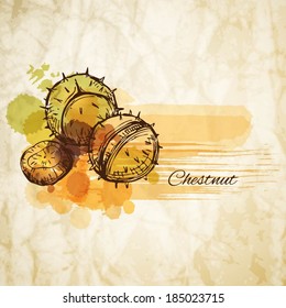 Chestnut label spot - vector illustration 