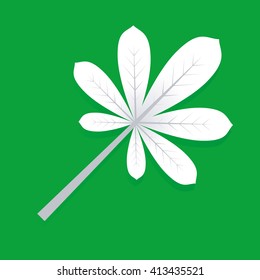 Chestnut leaf