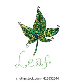  Chestnut leaf. Doodle style.