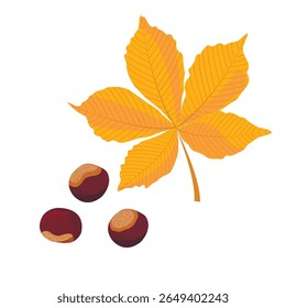 chestnut leaf and fruits in autumn isolate on white background