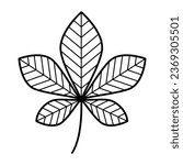 Chestnut leaf. Hand drawn icon of autumn botanical element. Isolated vector illustration in doodle line style.