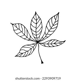 Chestnut leaf in hand drawn style on an isolated white background.